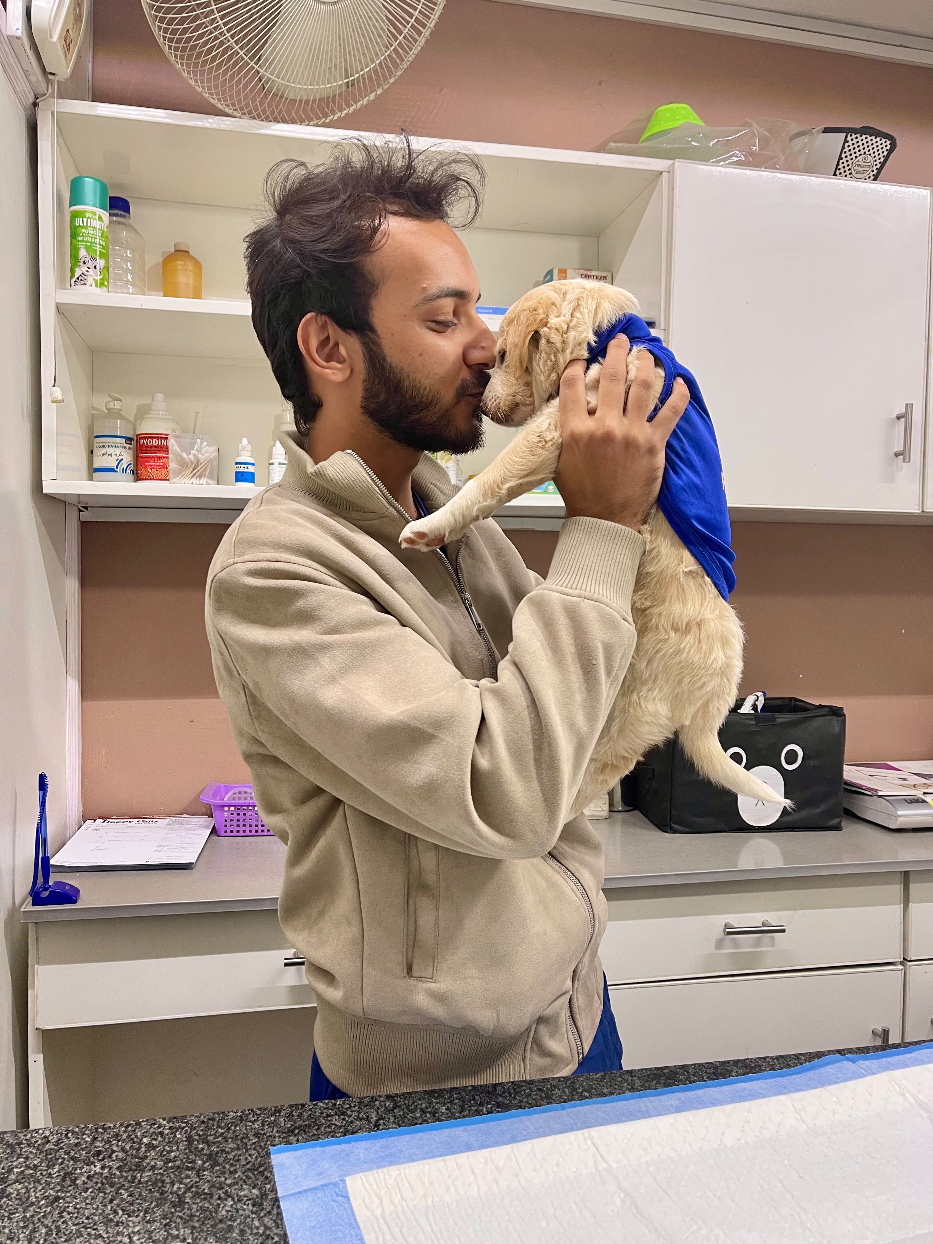 Veterinary team at Happy Tails during a procedure