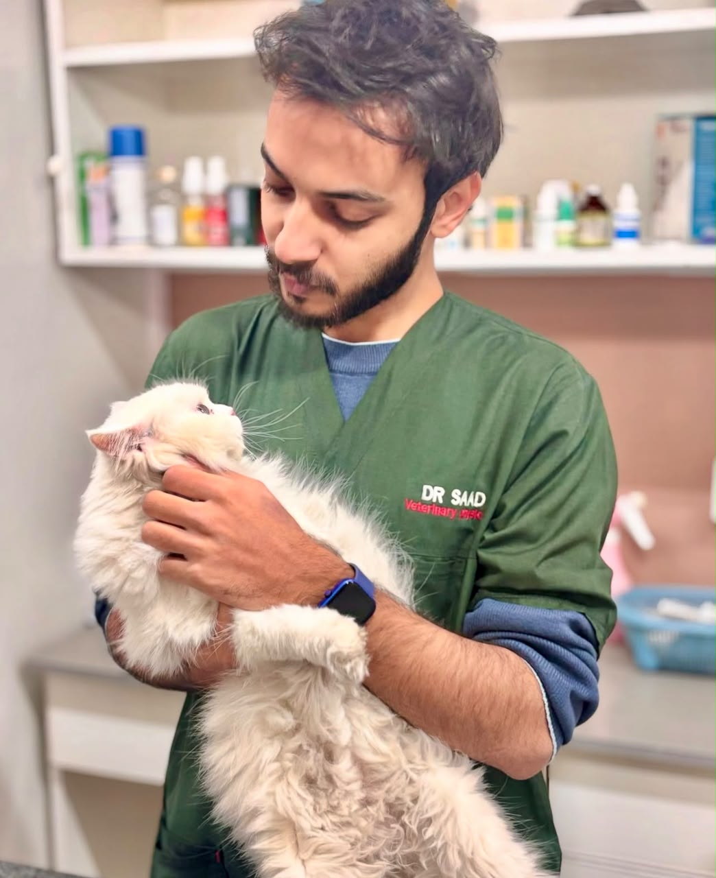 Veterinary team at Happy Tails during a procedure